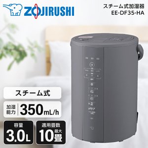アウトレット】象印 EE-DE50-HA グレー [スチーム式加湿器 (木造8畳
