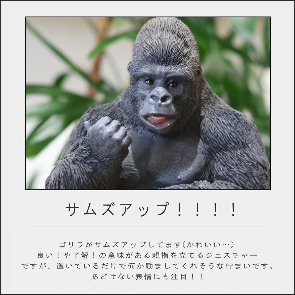 楽天市場】【特典付】【ポイント 10倍】( ゴリラぐー サムズアップ