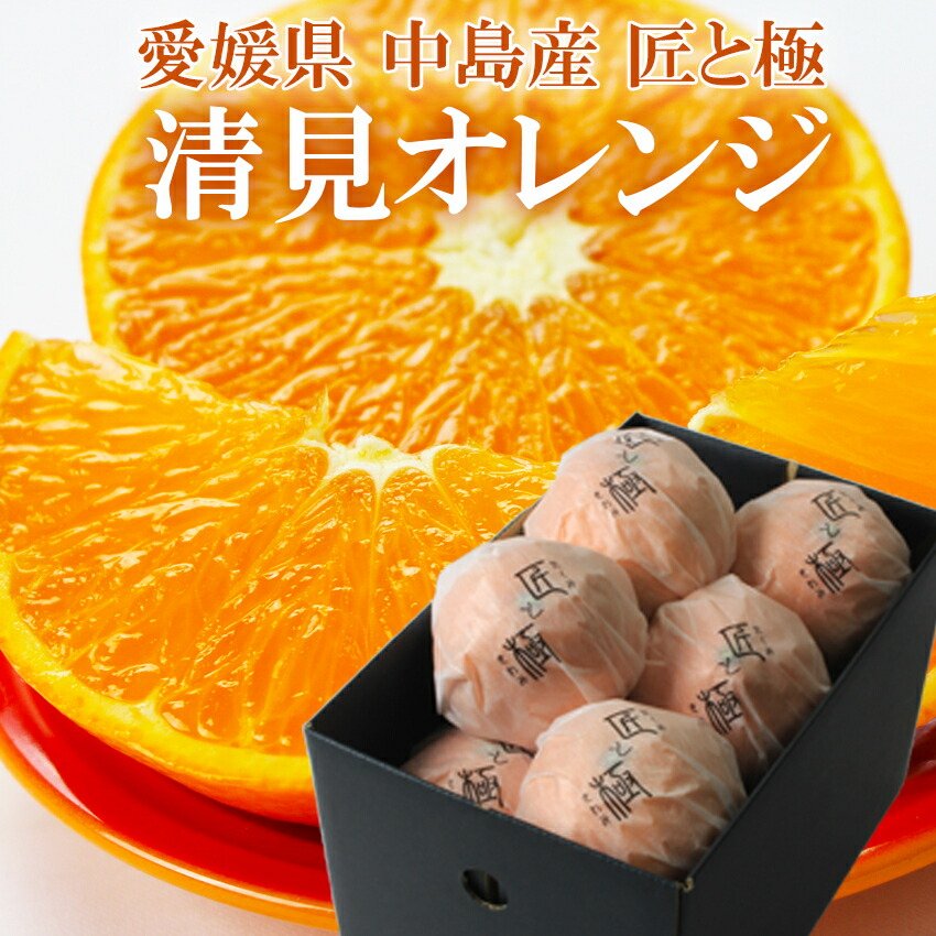楽天市場】匠と極 中島産 清見オレンジ 2Lサイズ6玉 愛媛県 贈答用