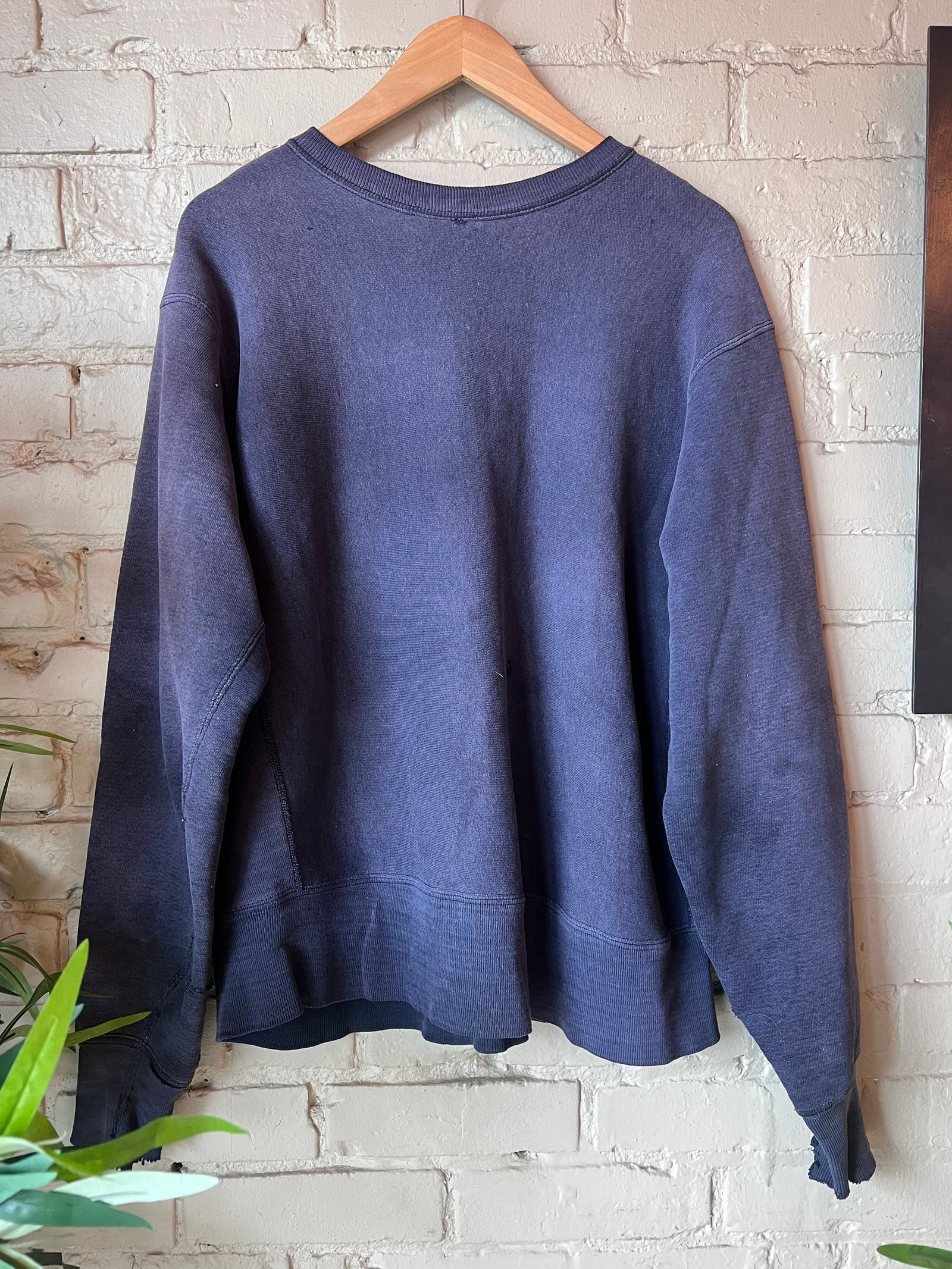 XL, 1970s Champion Reverse Weave Minnesota Gophers, Single Color