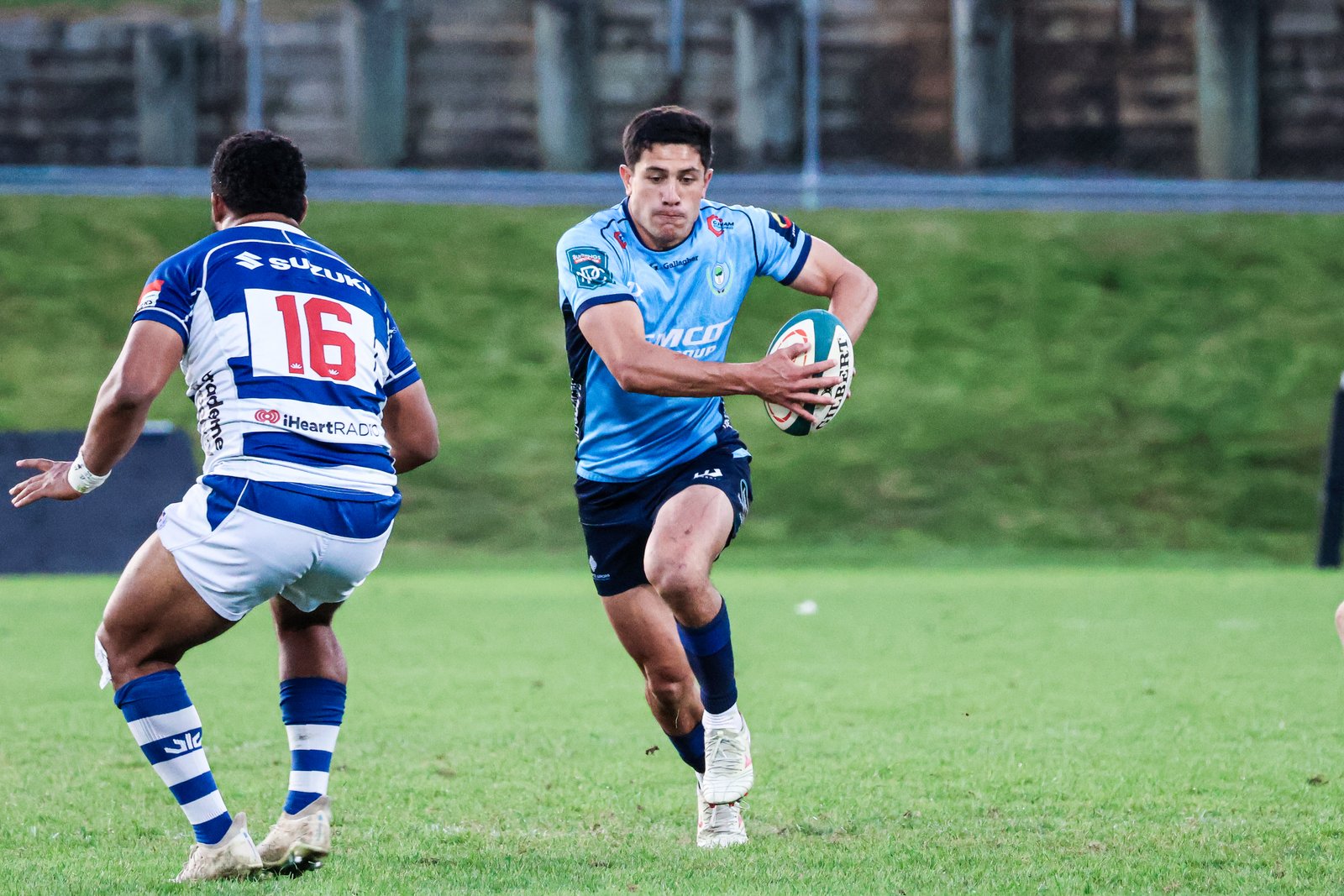 Taniwha – Northland Rugby