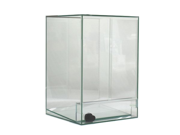 佐川急便発送・当日出荷14時まで・送料無料】Rain Forest パルダリウム