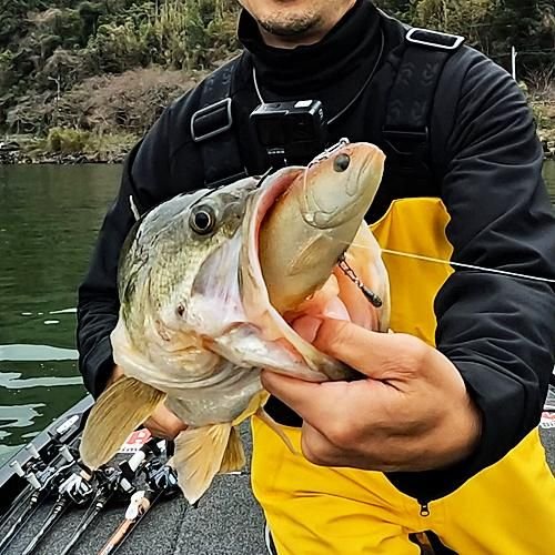 ハドルストンデラックス-「ハドルトラウト8インチ」 - USルアー＆雑貨