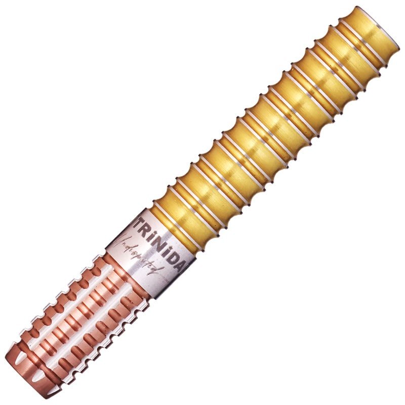 トリニダード キッド2 エボ TRiNiDAD KID TYPE2 EVO 後藤智弥 ダーツ