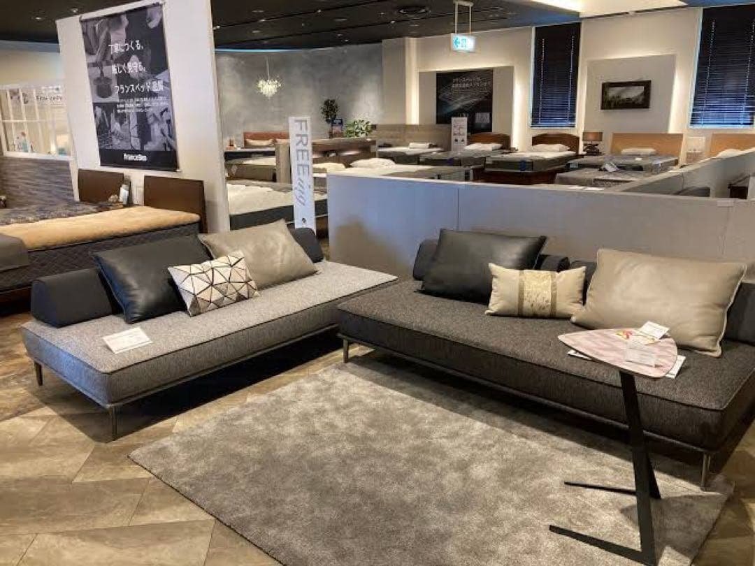 フランスベッド☆FREEing☆シングルサイズ☆ソファベッド - メルカリ