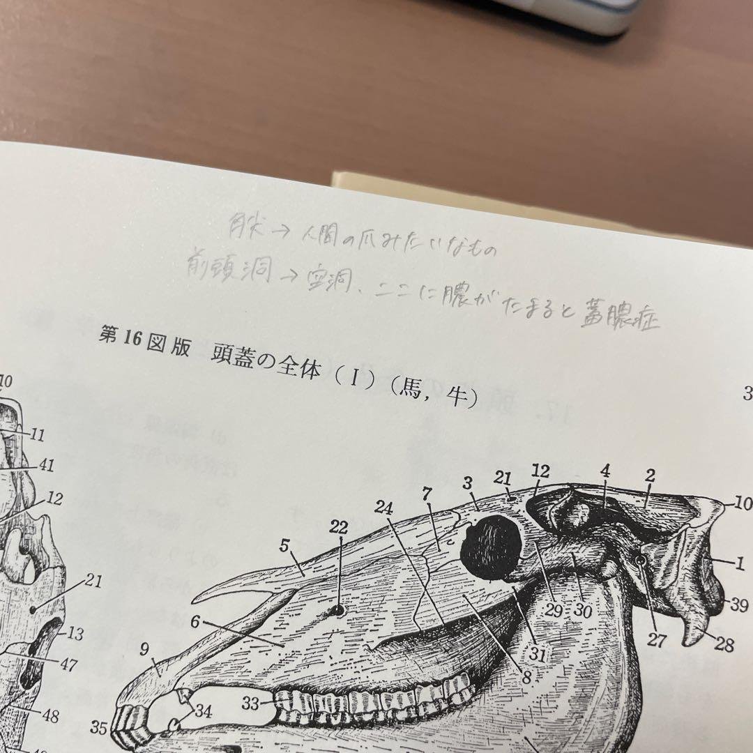 新編 家畜比較解剖図説 上巻・下巻